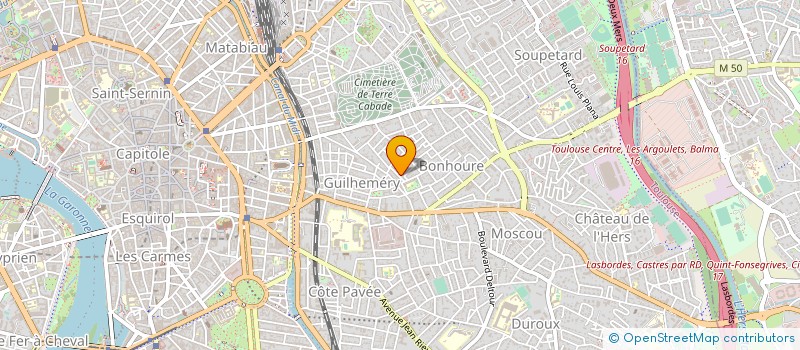 localisation de l'entreprise MADAME DOMINIQUE ROUSSY à TOULOUSE