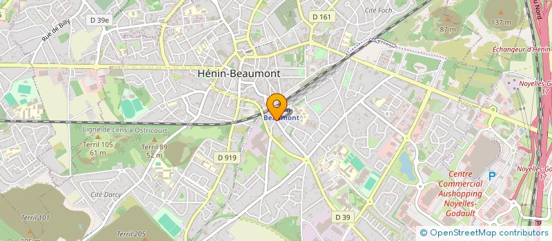 localisation de l'entreprise MADAME DOMINIQUE RUSINEK à HENIN-BEAUMONT