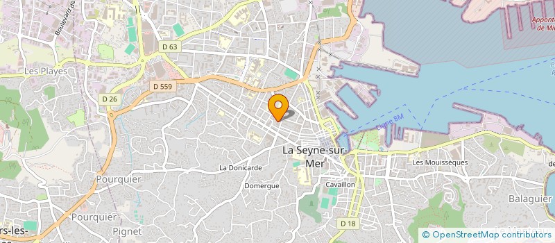 localisation de l'entreprise MADAME DOMINIQUE RYMASZ  LA SEYNE-SUR-MER