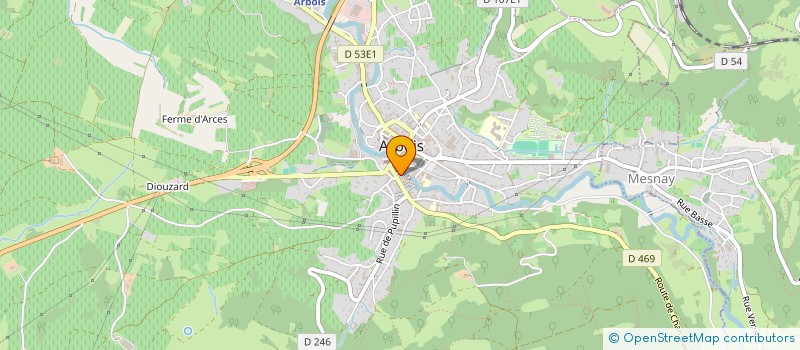 localisation de l'entreprise MADAME DOMINIQUE VERGUET à ARBOIS