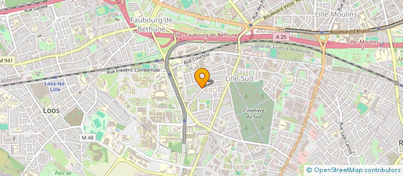 localisation de l'entreprise MADAME DOMINIQUE WAEYTENS à LILLE