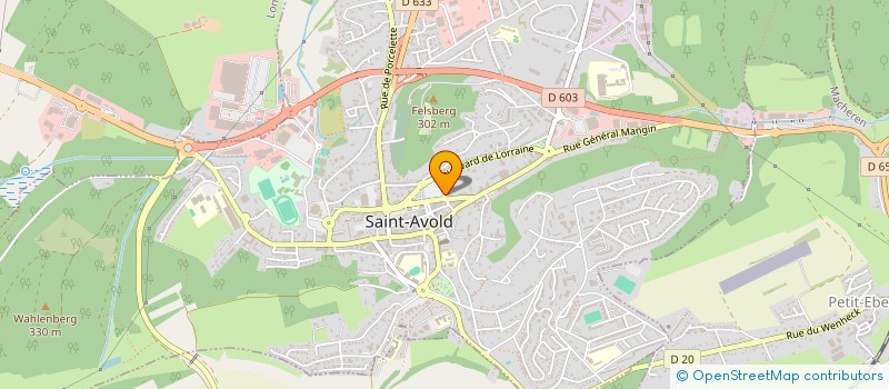 localisation de l'entreprise MADAME DOMINIQUE WILHELM  SAINT-AVOLD