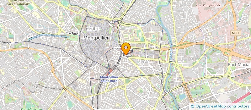 localisation de l'entreprise MADAME DOMINQUE SINA à MONTPELLIER