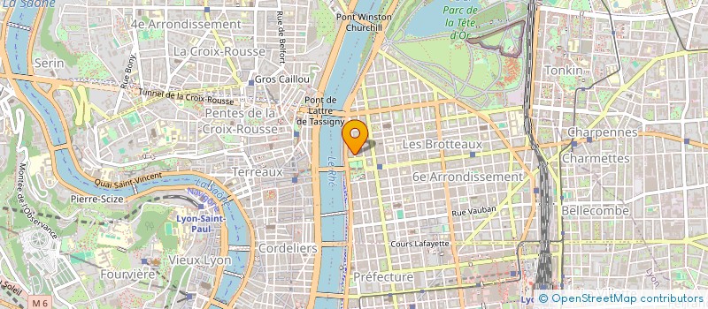 localisation de l'entreprise MADAME DOMITILLE MILLON  LYON