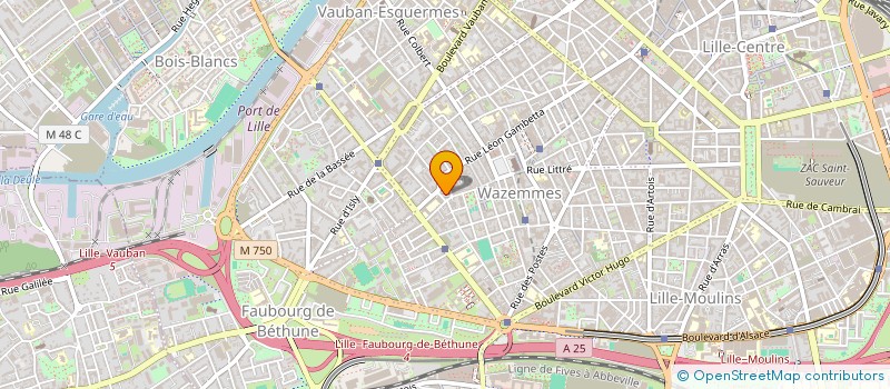 localisation de l'entreprise MADAME DOMITILLE ROSE  LILLE