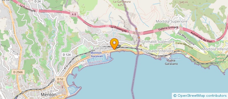 localisation de l'entreprise MADAME DONATELLA LESSIO  MENTON