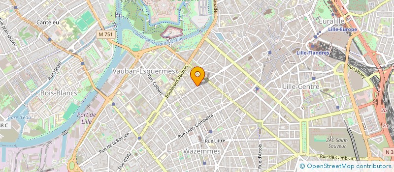 localisation de l'entreprise MADAME DONATIENNE JOUANNIC  LILLE