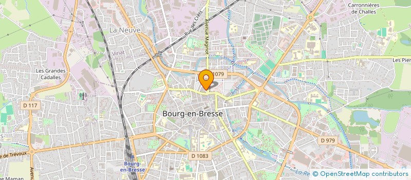 localisation de l'entreprise MADAME DONUS BALCI  BOURG-EN-BRESSE