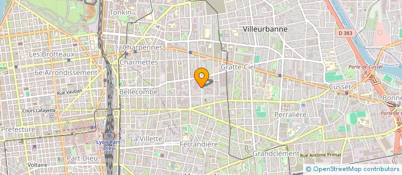 localisation de l'entreprise MADAME DORA CHAPUT  VILLEURBANNE