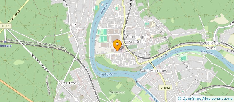 localisation de l'entreprise MADAME DORCAS TEHE  CHAMPAGNE-SUR-SEINE