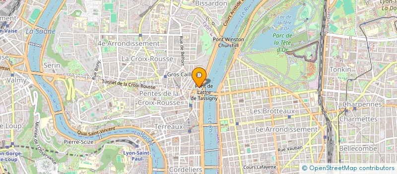 localisation de l'entreprise MADAME DORIANE DEBOURDIEU à LYON