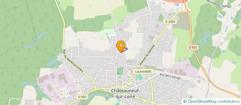 localisation de l'entreprise MADAME DORIANE GANNE  CHATEAUNEUF-SUR-LOIRE