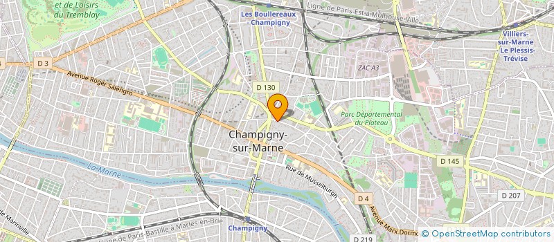 localisation de l'entreprise MADAME DORINE FOURMANN à CHAMPIGNY-SUR-MARNE