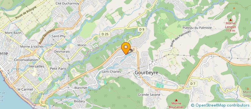 localisation de l'entreprise MADAME DORINE VANNOBEL  LES ABYMES