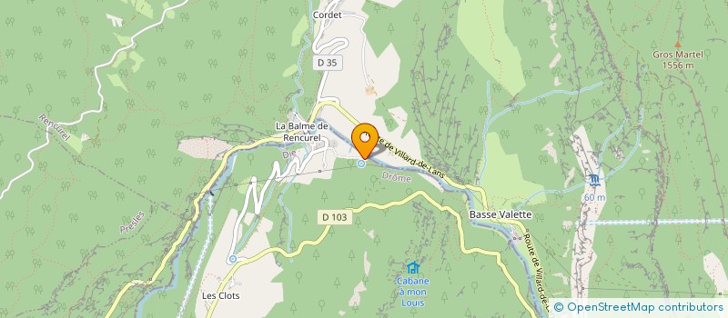 localisation de l'entreprise MADAME DOROTHEE BLANCHET  SAINT-JULIEN-EN-VERCORS