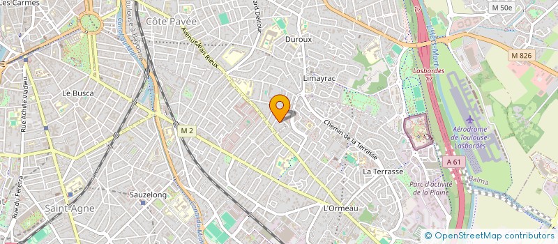 localisation de l'entreprise MADAME DOROTHEE CHAVOIX  TOULOUSE