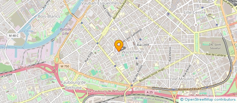 localisation de l'entreprise MADAME DOROTHEE DELQUIGNIES à LILLE