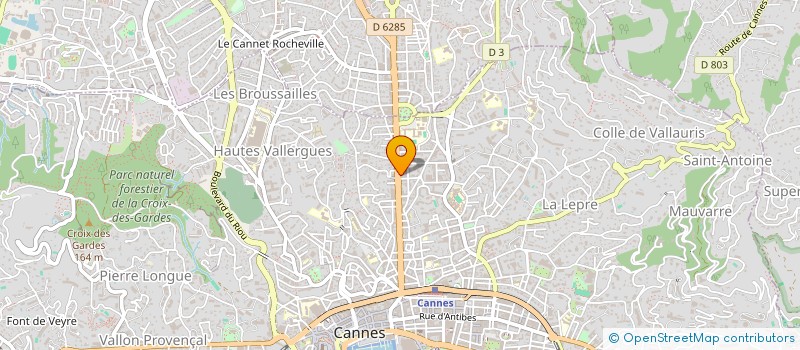 localisation de l'entreprise MADAME DOROTHEE DEWASNES  CANNES