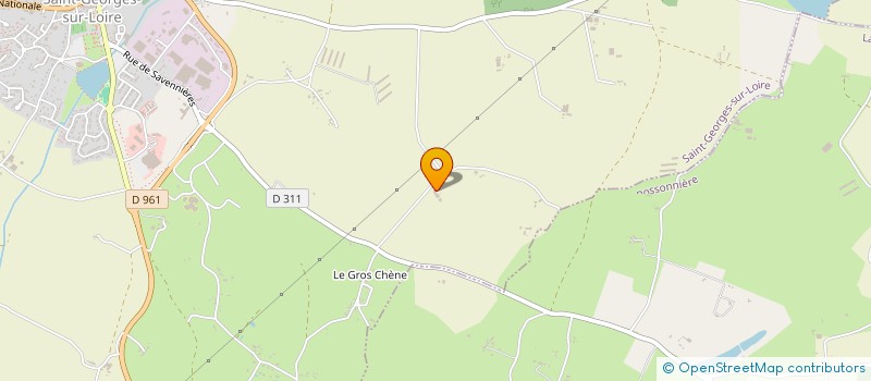 localisation de l'entreprise MADAME DOROTHEE GENTILHOMME  SAINT-GEORGES-SUR-LOIRE