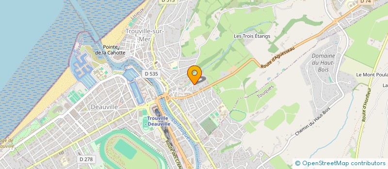 localisation de l'entreprise MADAME DOROTHEE KOHLER  TROUVILLE-SUR-MER