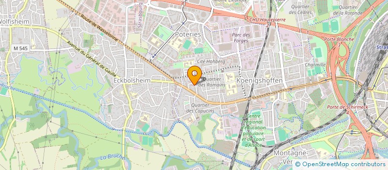 localisation de l'entreprise MADAME DOROTHEE RAEVESTEYN à STRASBOURG