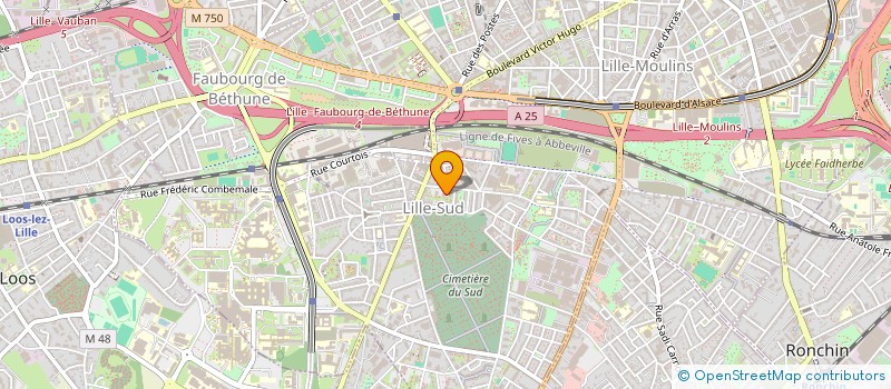 localisation de l'entreprise MADAME DOUAE NADI à LILLE