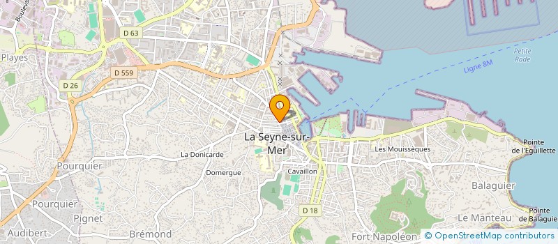 localisation de l'entreprise MADAME DOUGLAS WALLET à LA SEYNE-SUR-MER