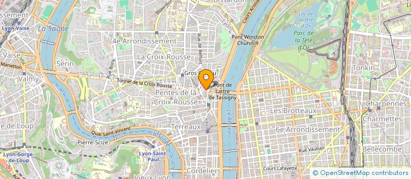 localisation de l'entreprise MADAME DOUNIA IRIS MAUD JAUNEAUD à LYON