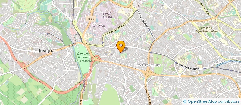 localisation de l'entreprise MADAME DOUNYAZAD SENHADJI à MONTPELLIER