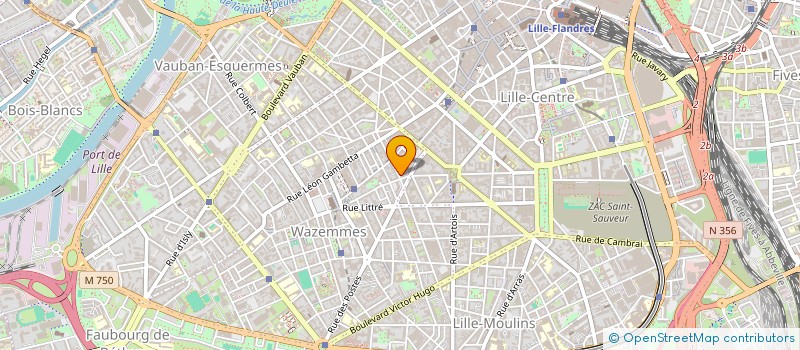 localisation de l'entreprise MADAME DRIFA BEHAEGEL à LILLE
