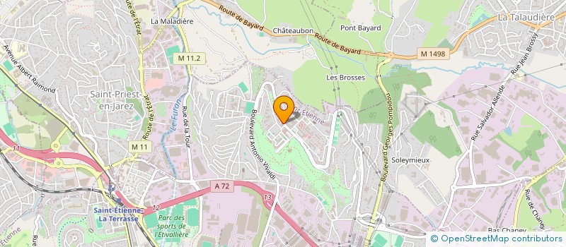 localisation de l'entreprise MADAME DRISSIA LAASSARA  SAINT-ETIENNE