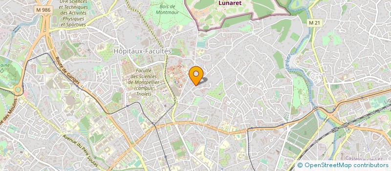 localisation de l'entreprise MADAME DRISSIA RIZKI à MONTPELLIER