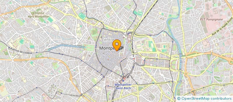 localisation de l'entreprise MADAME DULCE HERNANDEZ STRAFFON à MONTPELLIER