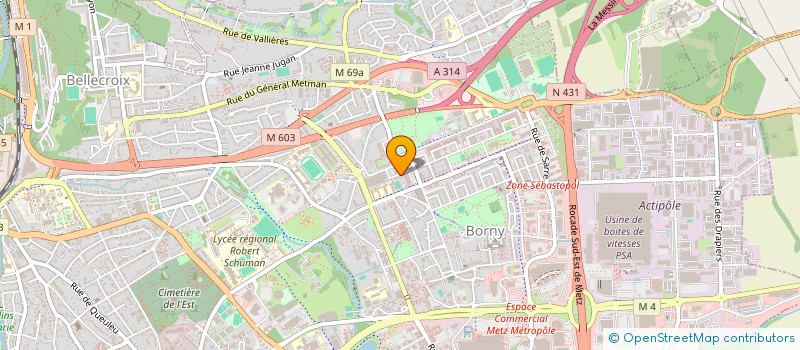 localisation de l'entreprise MADAME DURSUN SARIKAVAK  METZ