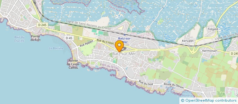 localisation de l'entreprise MADAME DYANA DAVID  BATZ-SUR-MER