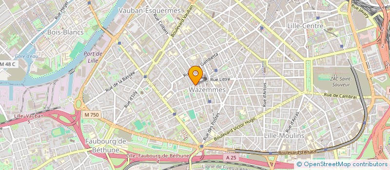 localisation de l'entreprise MADAME EALOME SOLITUDE  LILLE