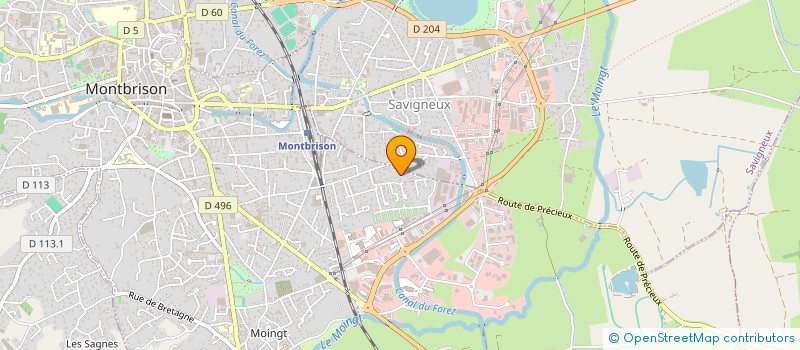 localisation de l'entreprise MADAME EBRU SAYILGAN  SAVIGNEUX