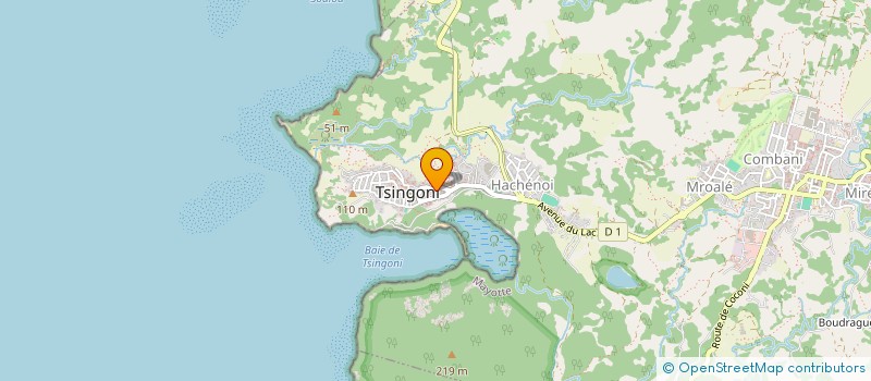 localisation de l'entreprise MADAME ECHAT ALILOIFFA à TSINGONI