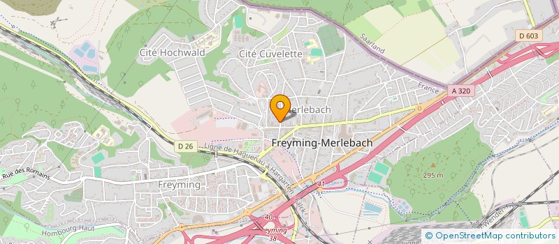 localisation de l'entreprise MADAME EDANUR SAHIN  FREYMING-MERLEBACH