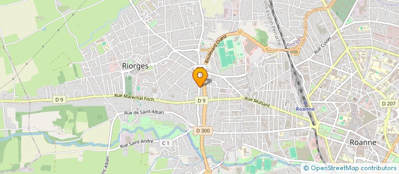 localisation de l'entreprise MADAME EDITH DJOUMESSI SANGO à RIORGES