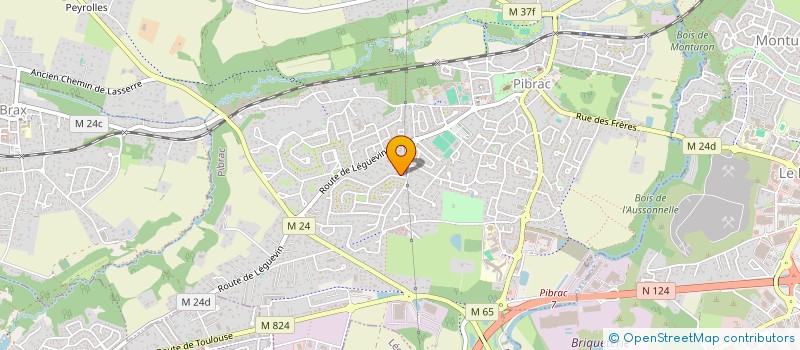 localisation de l'entreprise MADAME EDITH OURGAUD  PIBRAC