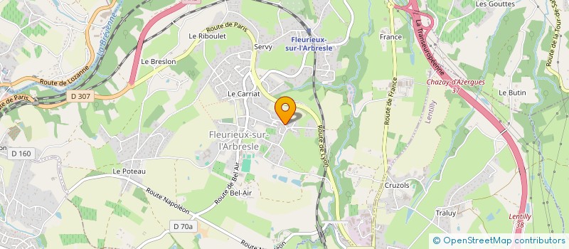 localisation de l'entreprise MADAME EDITH SCHREIBER  FLEURIEUX-SUR-L'ARBRESLE