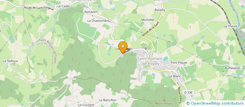 localisation de l'entreprise MADAME EDMEE VENET  SAINT-ROMAIN-DE-POPEY