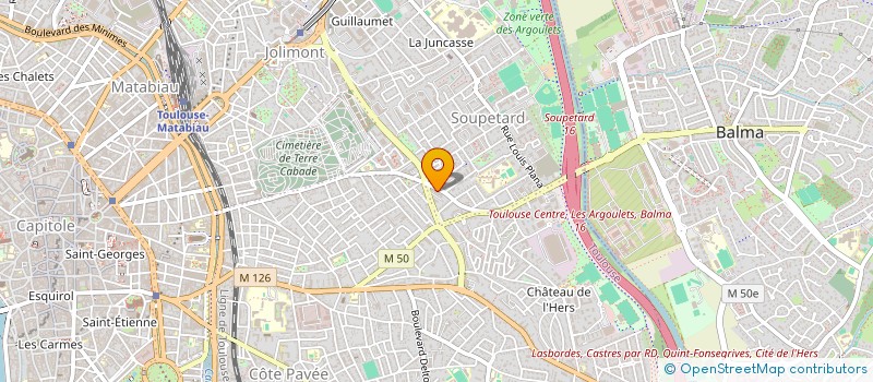 localisation de l'entreprise MADAME EDWIGE BERTHET à TOULOUSE