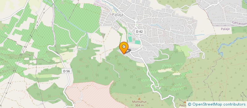 localisation de l'entreprise MADAME EDWIGE DELVA  PALAJA