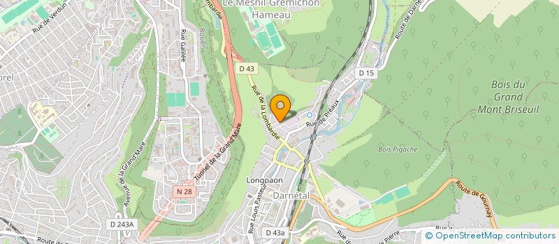 localisation de l'entreprise MADAME EDWIGE FOURNEAUX  DARNETAL