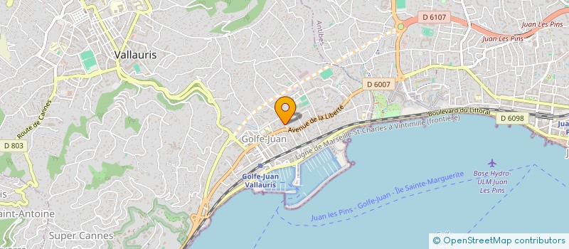 localisation de l'entreprise MADAME EDWIGE VINCENT  VALLAURIS