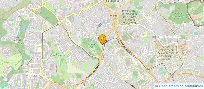 localisation de l'entreprise MADAME EDYTA MAKSYLEWICZ à MONTPELLIER