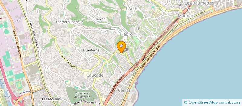 localisation de l'entreprise MADAME EIRINI VARVARA ELEFTHERATOU à NICE