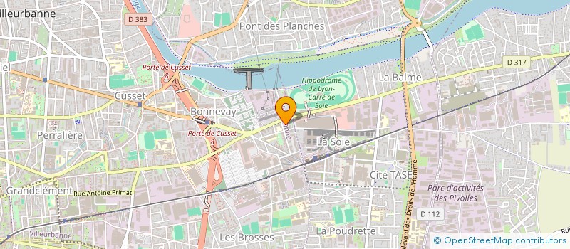 localisation de l'entreprise MADAME EKATERINA ANTSIFEROVA  VILLEURBANNE